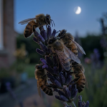 bees sleep